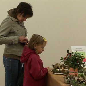 Výstava hub 2011