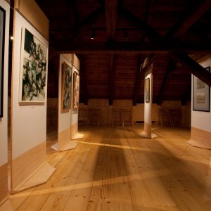 Muzeum v&nbsp;Mimoni - ROK PROVOZU