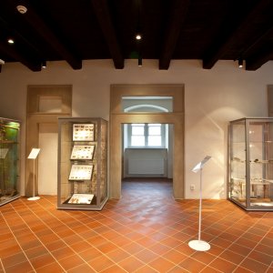 Muzeum v&nbsp;Mimoni - ROK PROVOZU