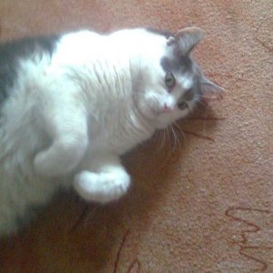 Prosím o&nbsp;pomoc - NALEZENO