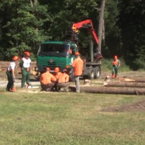 Lesnický den v&nbsp;Ralsku 2012&nbsp;a Mistrovství ČR v&nbsp;práci s&nbsp;motorovou pilou