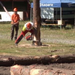 Lesnický den v&nbsp;Ralsku 2012&nbsp;a Mistrovství ČR v&nbsp;práci s&nbsp;motorovou pilou