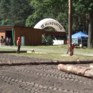 Lesnický den v&nbsp;Ralsku 2012&nbsp;a Mistrovství ČR v&nbsp;práci s&nbsp;motorovou pilou