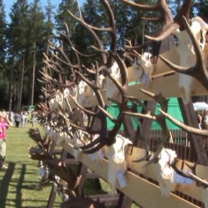 Lesnický den v&nbsp;Ralsku 2012&nbsp;a Mistrovství ČR v&nbsp;práci s&nbsp;motorovou pilou