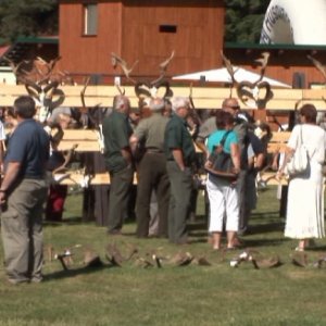 Lesnický den v&nbsp;Ralsku 2012&nbsp;a Mistrovství ČR v&nbsp;práci s&nbsp;motorovou pilou