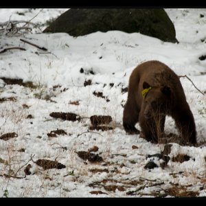 Toulání po&nbsp;Národních parcích jihozápadu USA