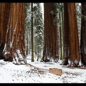 Toulání po&nbsp;Národních parcích jihozápadu USA