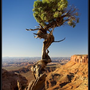 Toulání po&nbsp;Národních parcích jihozápadu USA