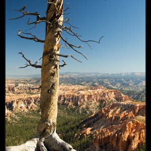 Toulání po&nbsp;Národních parcích jihozápadu USA