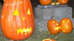 Halloween 2012 v Mimoni