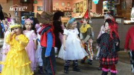 Valentýnský karneval