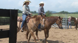 Koňský den na Felden ranch