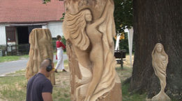 Dřevosochání pod Ralskem 2013