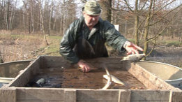 Jarní výlov mimoňských rybníků 2014