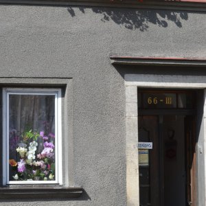 Rozkvetlá okna a&nbsp;balkony 2017&nbsp;