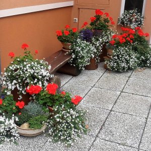 Rozkvetlá okna a&nbsp;balkony 2017&nbsp;