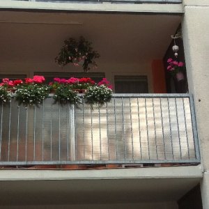 Rozkvetlá okna a&nbsp;balkony 2017&nbsp;