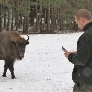 Život lesní zvěře v&nbsp;zimních měsících