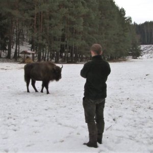 Život lesní zvěře v&nbsp;zimních měsících