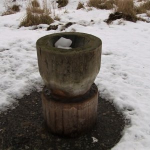 Život lesní zvěře v&nbsp;zimních měsících