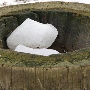 Život lesní zvěře v&nbsp;zimních měsících