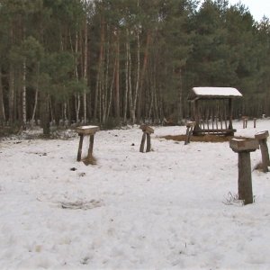 Život lesní zvěře v&nbsp;zimních měsících