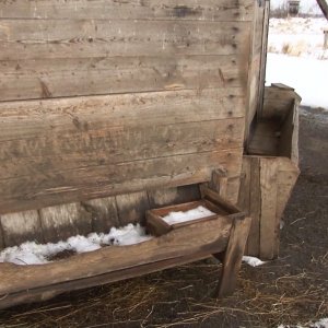 Život lesní zvěře v&nbsp;zimních měsících