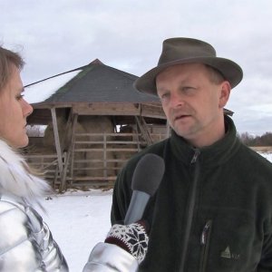 Život lesní zvěře v&nbsp;zimních měsících